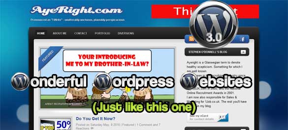Wonderful WordPress Websites
